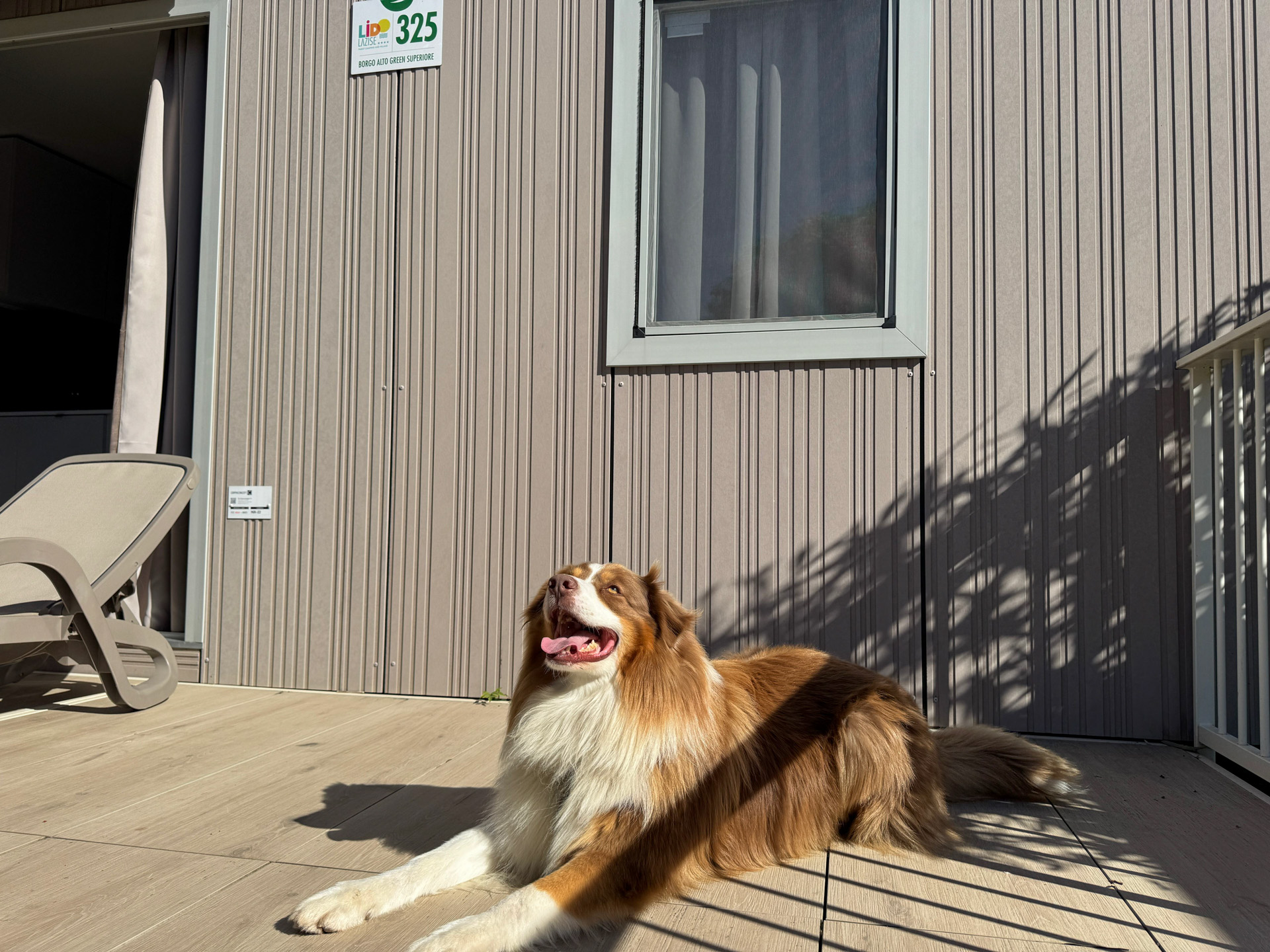 Camping Lido pet activities