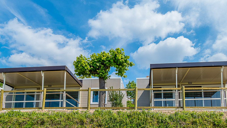 Camping Lido Lazise